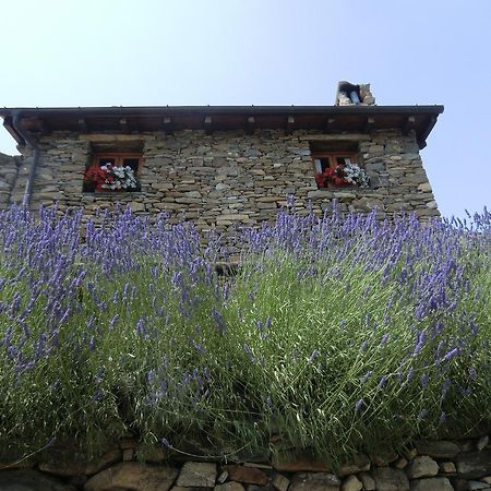 Agriturismo La Fontana Dell'Olmo Molini di Triora Exterior photo