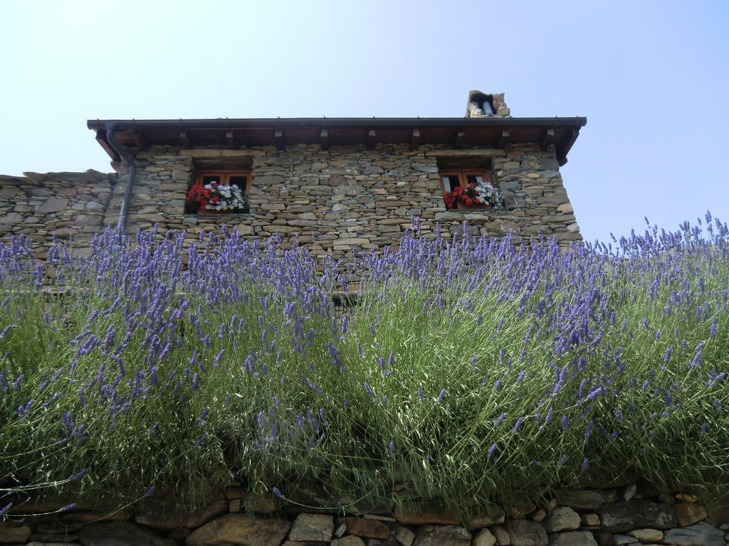 Agriturismo La Fontana Dell'Olmo Molini di Triora Exterior photo